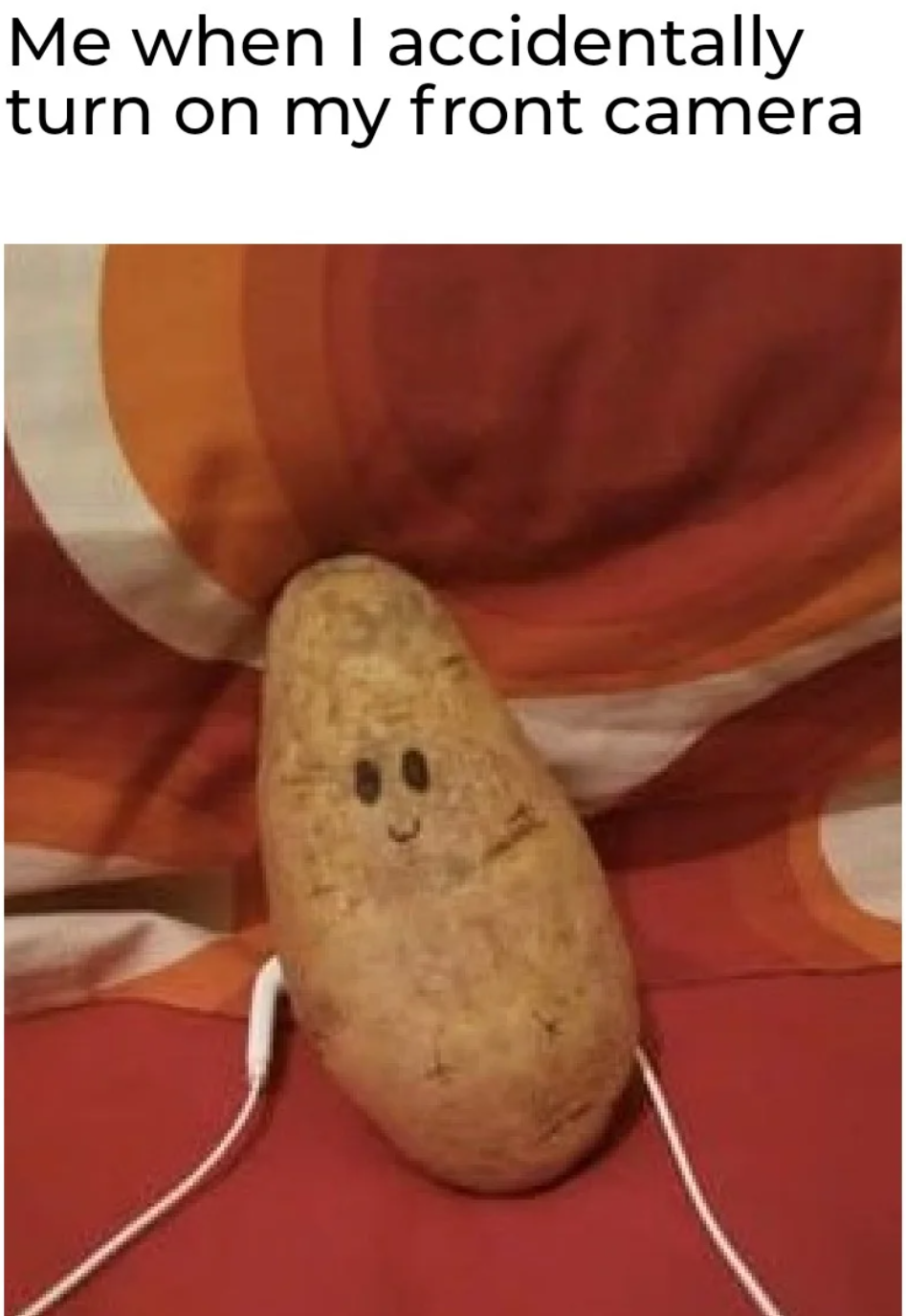 potato